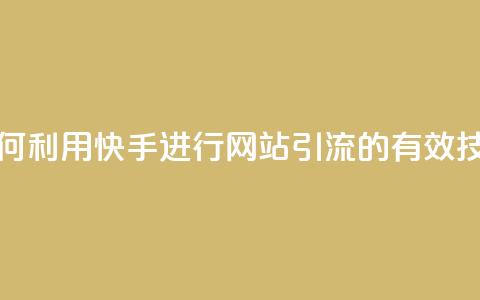 如何利用快手进行网站引流的有效技巧 第1张