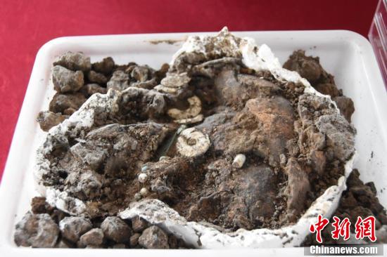 【何以中国 行走河南】走进河南永城王庄遗址  感受5000年前大汶口文化聚落的礼制内涵 第6张