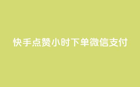 快手点赞24小时下单微信支付,qq会员业务网站 - qq超级会员充值 qq下单业务 第1张