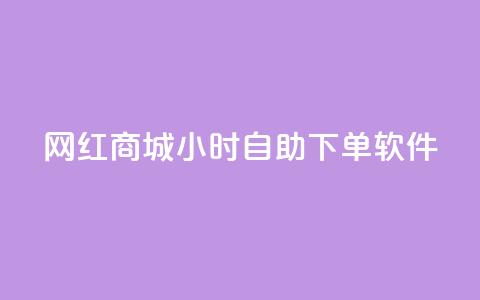 网红商城24小时自助下单软件 - 24小时自助下单软件，让网红商城轻松畅销! 第1张