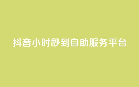 抖音24小时秒到自助服务平台,抖音业务下单秒到账 - 24自助下单服务平台便宜 快手自助平台在线下单正规 第1张