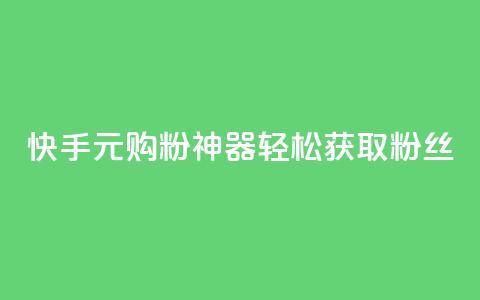 快手10元购粉神器，轻松获取1000粉丝 第1张