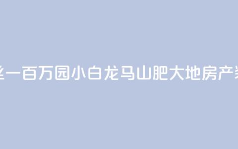 快手粉丝一百万0.01园小白龙马山肥大地房产装修网站,QQ红钻卡盟 - qq业务自助 子潇网络平台是合法吗 第1张