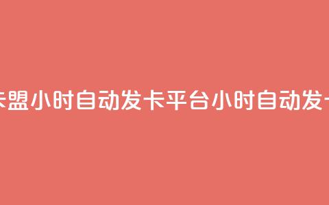 游戏卡盟24小时自动发卡平台(24小时自动发卡平台-游戏卡盟专属) 第1张