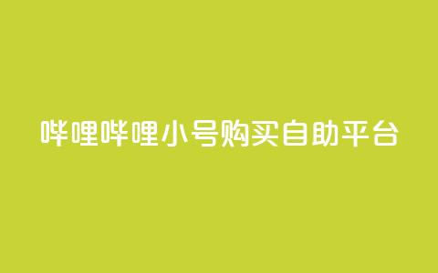 哔哩哔哩小号购买自助平台 - B站小号购买平台  自助服务一键购买! 第1张