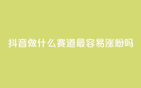 抖音做什么赛道最容易涨粉吗,快手抖音24小时业务秒单 - 拼多多业务网 dy自助商城 第1张