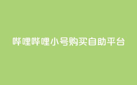 哔哩哔哩小号购买自助平台,抖音自助平台业务下单秒到 - 抖音快手业务网 qq我访问了几次对方会知道吗 第1张