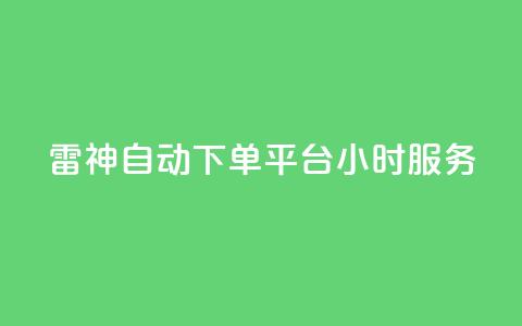 KS雷神自动下单平台24小时服务 第1张