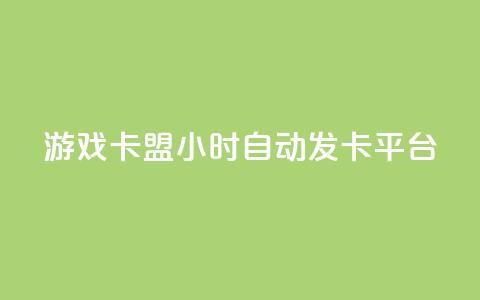 游戏卡盟24小时自动发卡平台 - 24小时自动发卡平台：游戏卡盟如何提供便捷发卡服务？~ 第1张