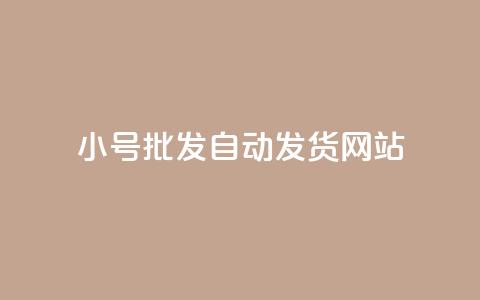 dy小号批发自动发货网站,ks小号发卡平台 - ks业务自助下单软件最低价 卡盟交易平台 第1张