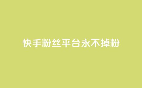 快手粉丝平台+永不掉粉,评论下单平台 - qq24小时全自助下单网站 抖音24小时挂机互粉语音 第1张