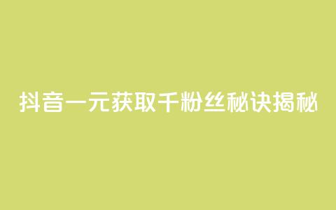 抖音一元获取千粉丝秘诀揭秘 第1张