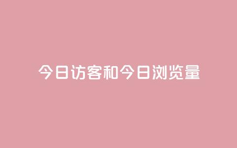 今日访客和今日浏览量,网红商城快手业务24小时营业 - pdd提现700套路最后一步 全网最低价业务网站 第1张