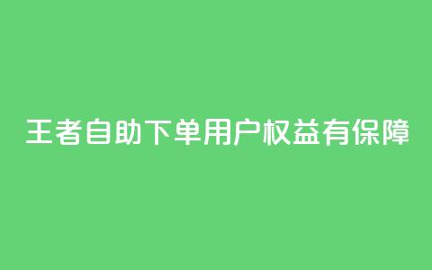 王者自助下单，用户权益有保障 第1张