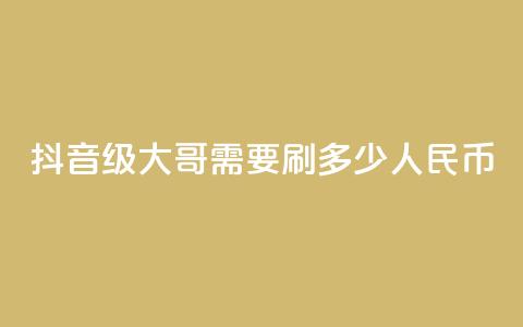 抖音75级大哥需要刷多少人民币 - 抖音75级大哥刷粉需要花费多少钱! 第1张