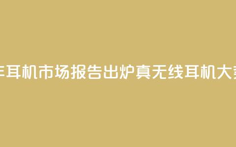 2024上半年耳机市场报告出炉：真无线耳机大势已去 第1张