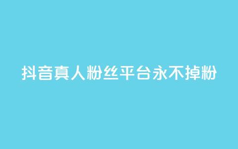 抖音真人粉丝平台 永不掉粉,qq云商城网站 - 拼多多帮砍助力网站便宜 暑假赚钱项目拼多多助力项目 第1张