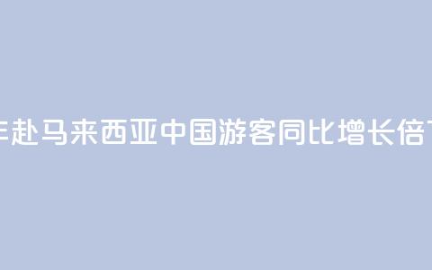 上半年赴马来西亚中国游客同比增长1.9倍 第1张