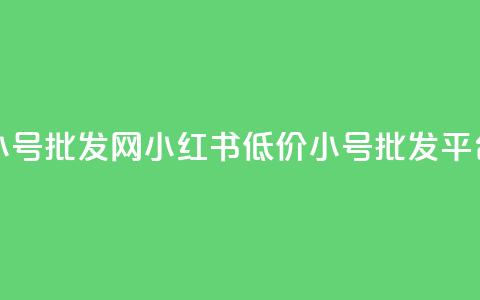 小红书低价小号批发网 - 小红书低价小号批发平台推荐~ 第1张