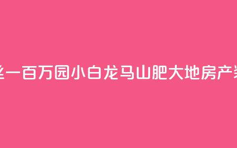 快手粉丝一百万0.01园小白龙马山肥大地房产装修网站,抖音1元100赞 - dy业务自助下单软件下载 快手买亲密度等级网站 第1张