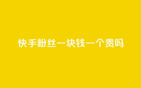 快手粉丝一块钱一个贵吗 - 快手粉丝一元一个是否值得购买解析! 第1张