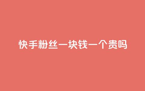 快手粉丝一块钱一个贵吗 - 快手粉丝一元一个是否值得购买解析! 第1张