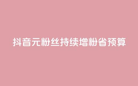 抖音1元3000粉丝持续增粉省预算 第1张