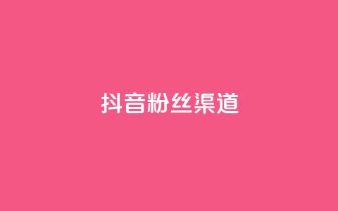 抖音粉丝渠道 - 提升抖音粉丝增长的方法。 第1张