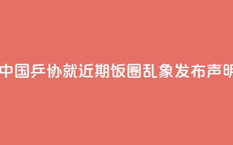 中国乒协就近期“饭圈”乱象发布声明 第1张