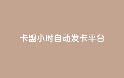 卡盟24小时自动发卡平台,卡盟网址钻 - 拼多多业务网24小时自助下单 拼多多2024活动是诈骗吗 第1张