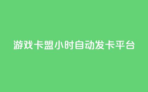 游戏卡盟24小时自动发卡平台 - 24小时自动发卡，畅享游戏乐趣。 第1张