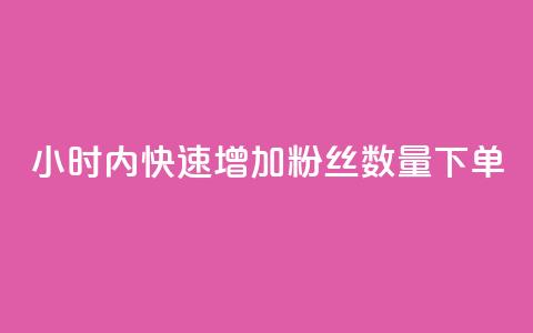 24小时内快速增加粉丝数量下单 第1张