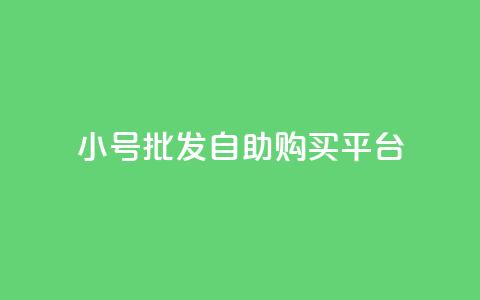 cf小号批发自助购买平台 - 购买CF小号的自助批发平台~ 第1张