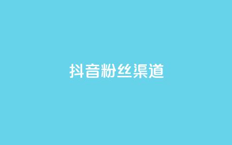 抖音粉丝渠道 - 提升抖音粉丝增长的方法。 第1张