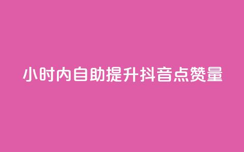 24小时内自助提升抖音点赞量 第1张