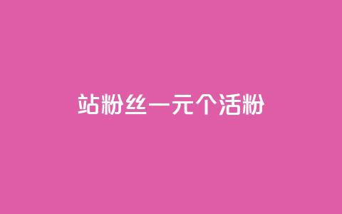 b站粉丝一元1000个活粉 - 如何在B站获得1000个活跃粉丝，仅需1元~ 第1张