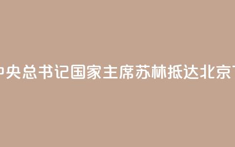 越共中央总书记、国家主席苏林抵达北京 第1张