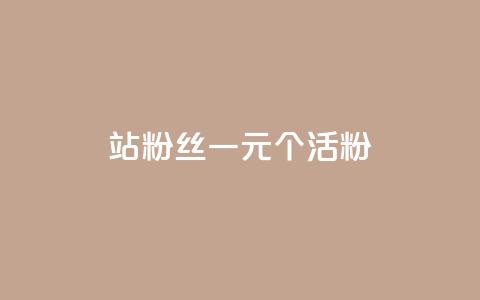 b站粉丝一元1000个活粉 - 如何在B站获得1000个活跃粉丝，仅需1元~ 第1张