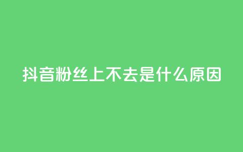 抖音粉丝上不去是什么原因 - 为什么我的抖音粉丝无法增加？! 第1张