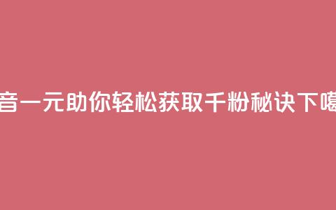 抖音一元助你轻松获取千粉秘诀 第1张