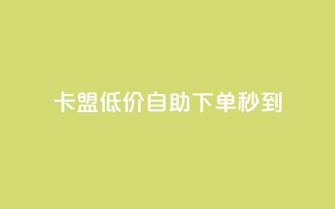 卡盟低价自助下单秒到,全网自助下单最便宜云小店 - 全网业务自助下单商城 怎样在拼多多上无货源开店 第1张