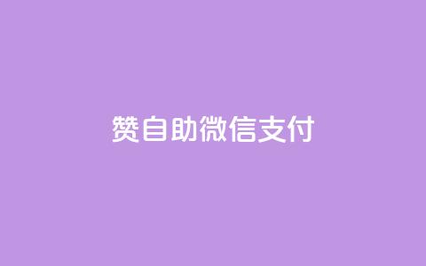 Ks赞自助微信支付,1元qq空间10万访客 - 点赞交易平台 快手一元100攒链接 第1张