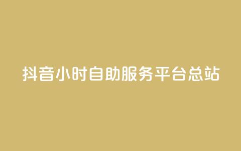 抖音24小时自助服务平台总站 - 抖音自助服务平台总站24小时全天候提供服务~ 第1张