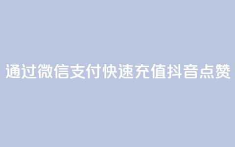 通过微信支付快速充值抖音点赞 第1张