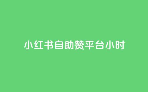 小红书自助赞平台24小时 - 24小时全天候自助赞平台，小红书助力您的SEO优化~ 第1张