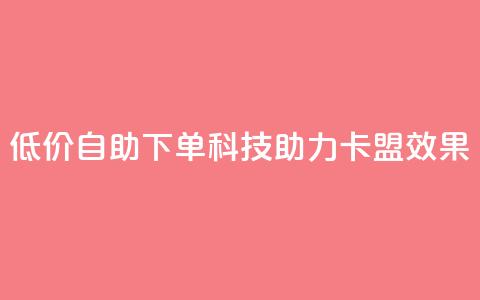 低价自助下单科技助力卡盟SEO效果 第1张