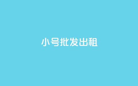 ks小号批发出租,qq业务乐园首页 - pdd助力网站免费 拼多多推金币助力是诈骗吗 第1张