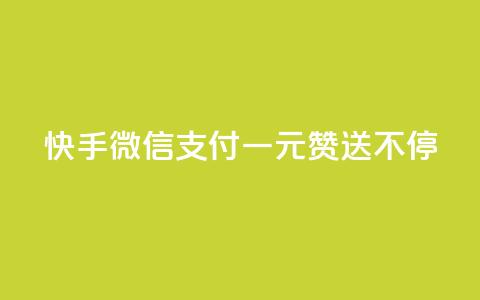 快手微信支付：一元赞送不停 第1张