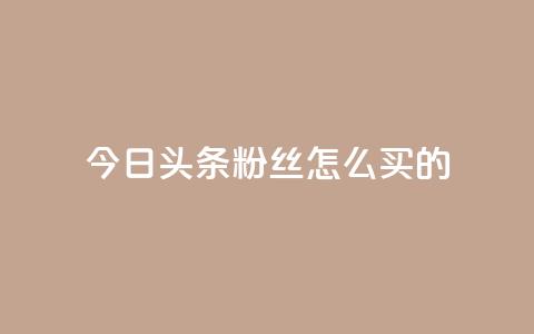 今日头条粉丝怎么买的,全网最便宜qq24小时自助下单平台 - 免费领取qq说说赞自助平台 qq高质量小号自助下单 第1张