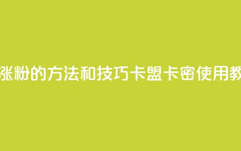 抖音快速涨粉的方法和技巧 - 卡盟卡密使用教程 第1张